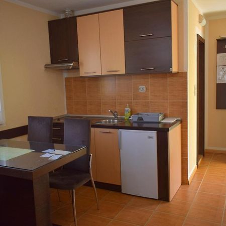Apartmani Radoicic Josanicka Banja Exteriér fotografie