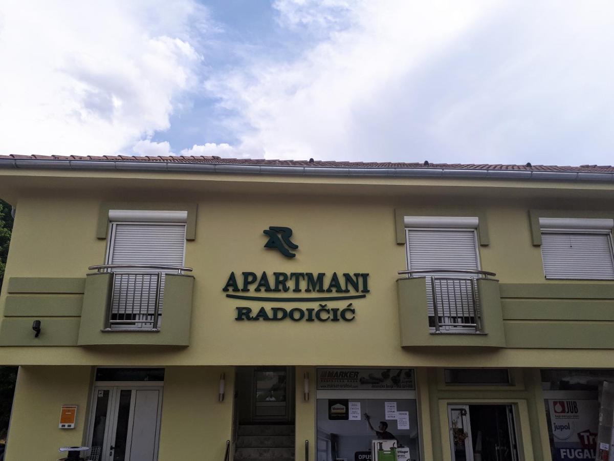 Apartmani Radoicic Josanicka Banja Exteriér fotografie