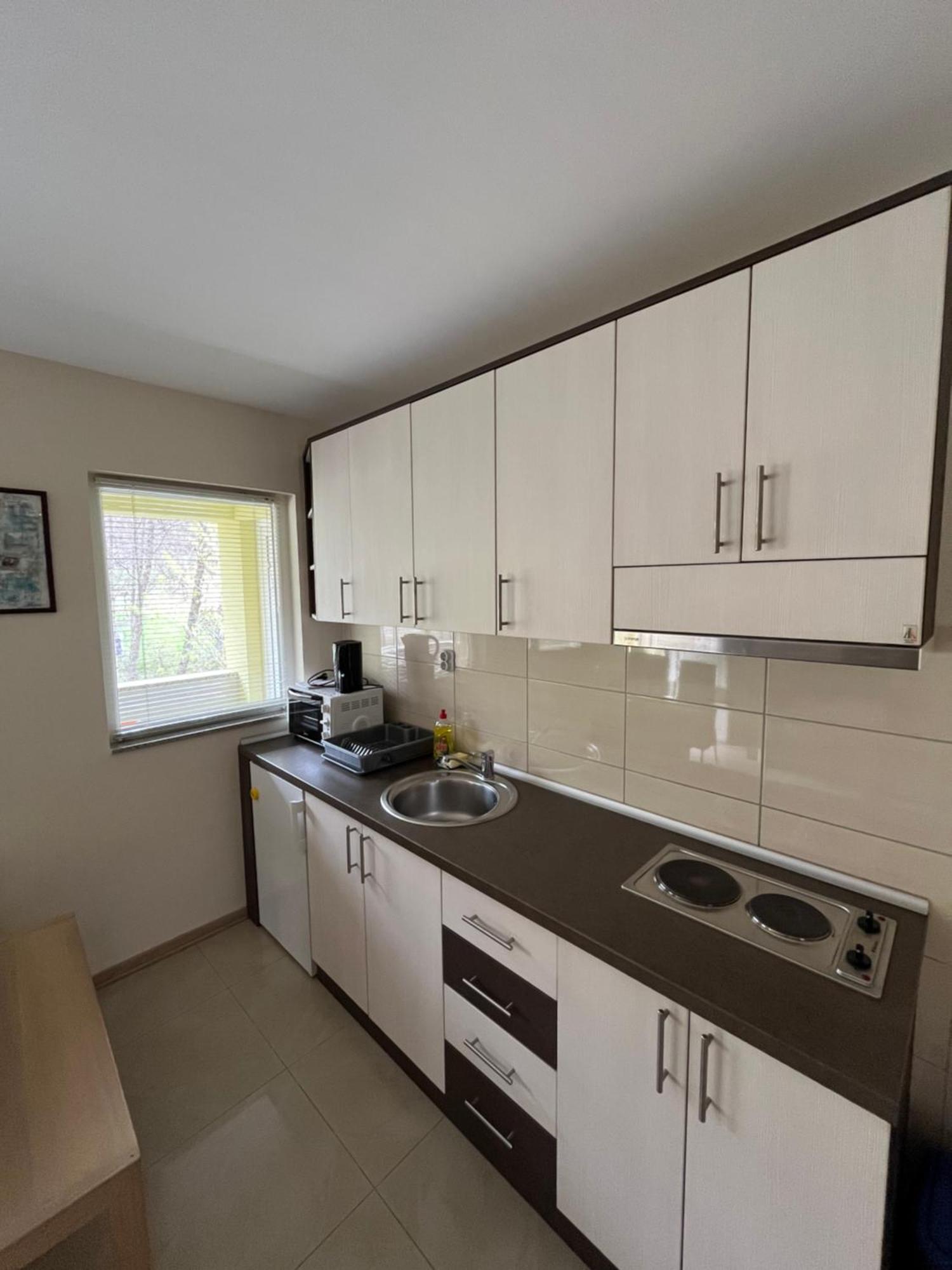 Apartmani Radoicic Josanicka Banja Exteriér fotografie